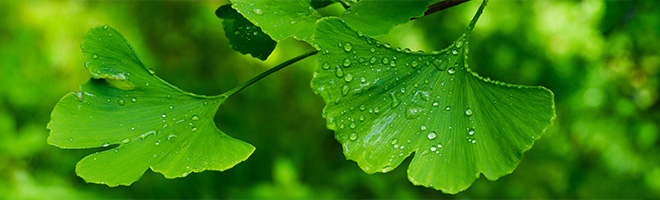 DAP Arzneimittel-News Hauptbeitrag