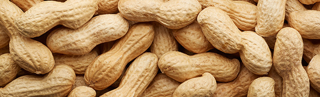 Preisverleihung auf der expopharm in München pDL-Award 2024