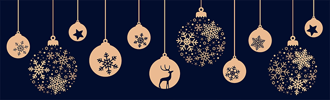 Frohe Weihnachten und einen guten Rutsch ins Neue Jahr 2025