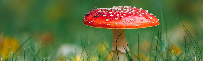 DAP Arzneimittel-News Hauptbeitrag